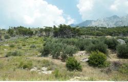 Photo Texture of Background Croatia